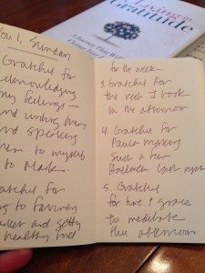 gratitude journal_inside